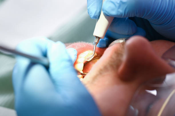 Best After-Hours Dental Care in Heyville, AL